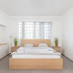 Apartment Rozarka