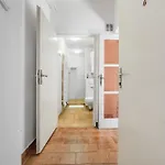 Rozarka Apartment *