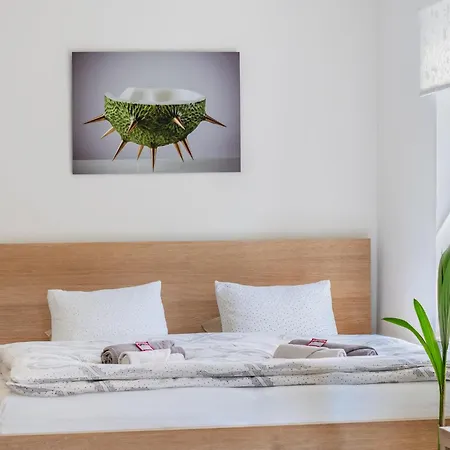 Rozarka Apartmán *